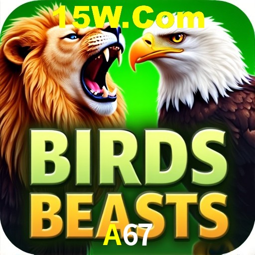 A67 Salvador - Strategies