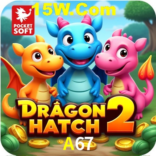 A67 Brasília - VIP Program